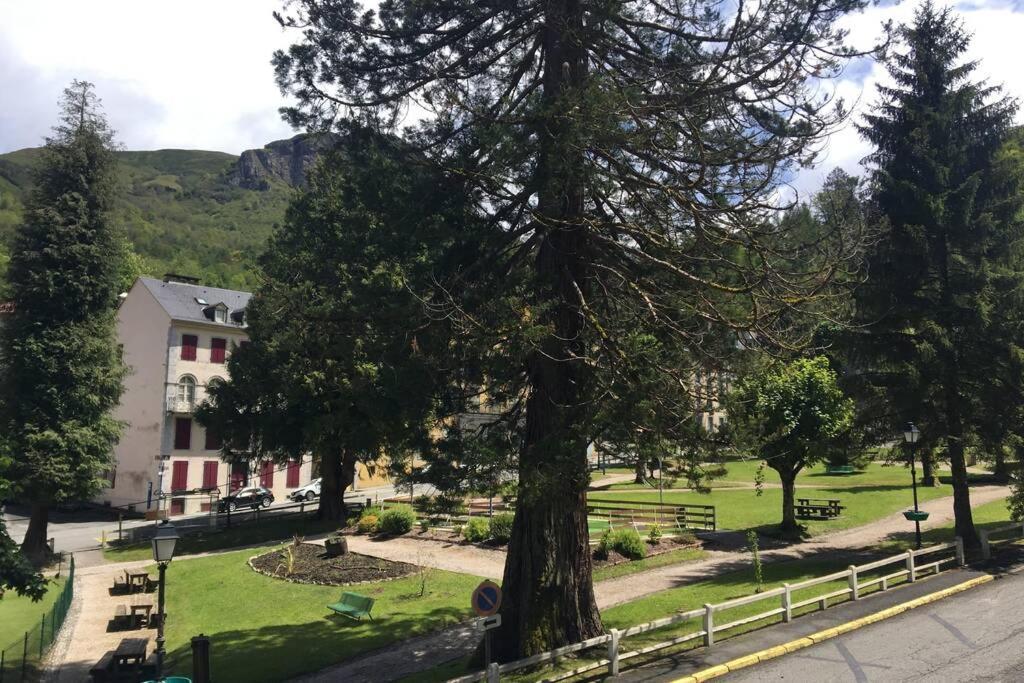 Cocon De La Vallee D'Ossau , Veritable Havre De Paix - 4 A 6 Pers オー・ボンヌ エクステリア 写真